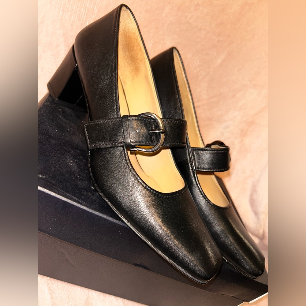 Aris Black Leather Mary Jane Block Heel Mules